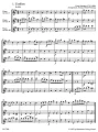 Franz Schubert: Tanze fur drei Floten - tańce na trio fletowe - nuty na trzy flety poprzeczne