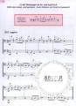 Fun with shifting positions for cellists 1 - ćwiczenia na zmiany pozycji na wiolonczelę - S. Basler-Novsak, S. Stein