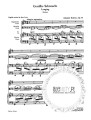Johannes Brahms  2 Gesange op. 91 - dwie pieśni - nuty na głos żeński alt, altówkę lub wiolonczelę i fortepian