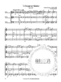 Flexible String Trios Discover the Waltzes - Nico Dezaire - nuty na trio smyczkowe o dowolnym składzie