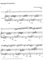 neopolis concertino na wioloncz i fort 1 (1).jpg