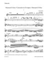 Vilem Blodek: Concerto for Flute and Orchestra D major - koncert fletowy D-dur - nuty na flet poprzeczny i fortepian