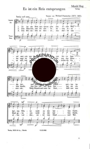 e91cee95843b1f5354012a6d7a17ecce