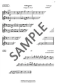 Festive Flute Fun - Karen North - utwory na różne święta na koniec roku kalendarzowego - solo, duety, tria - nuty na flet poprzeczny
