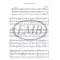 Romantic Trio Music for Beginners - Arpad Pejtsik, Lajos Vigh - smyczkowe tria romantyczne dla początkujących w 1 pozycji