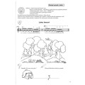 Myszka Dora zaprasza do Pograjewa - szkoła gry na pianinie dla dzieci - Anna Smoter-Fieber (+ płyta CD)