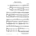 Nino Rota - Allegro danzante - nuty na saksofon altowy z fortepianem