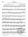 Flote Spielen - Spielbuch Band D - Elizabeth Weinzierl, Edmund Wachter - utwory na flet poprzeczny z fortepianem cz. 4 (+ płyta CD)