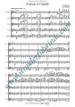 Leonard Bernstein: Overture to Candide - aranżacja na kwintet fletowy