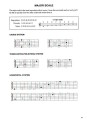 Guitar Chords & Scales - akordy i gamy na gitarę