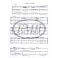Classical Trio Music for Beginners - Arpad Pejtsik, Lajos Vigh - smyczkowe tria klasyczne dla początkujących w 1 pozycji