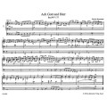 Dietrich Buxtehude: Orgelwerke IV - Organ Works 4 - dzieła organowe tom 4