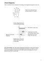 Guitar Chords & Scales - akordy i gamy na gitarę