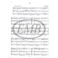 Classical Trio Music for Beginners - Arpad Pejtsik, Lajos Vigh - smyczkowe tria klasyczne dla początkujących w 1 pozycji