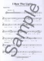 Sing-Along Gospel With A Live Band - głos solowy, teksty i akordy gitarowe - Paul Honey (+ płyta CD)